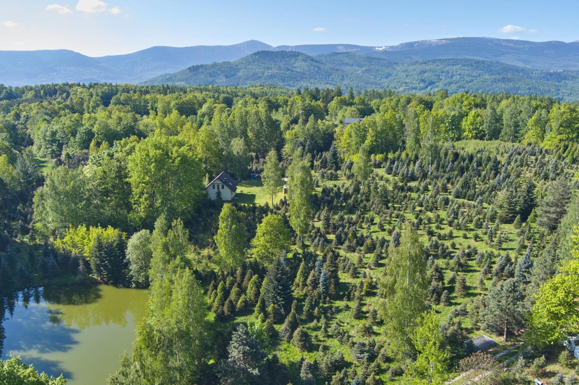 Agroturystyka - Srebrny Las Staniszow Exteriör bild